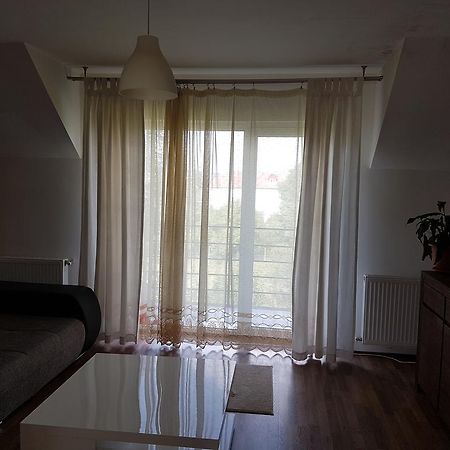 Cluj Lux Apartments Cluj Napoca Bagian luar foto